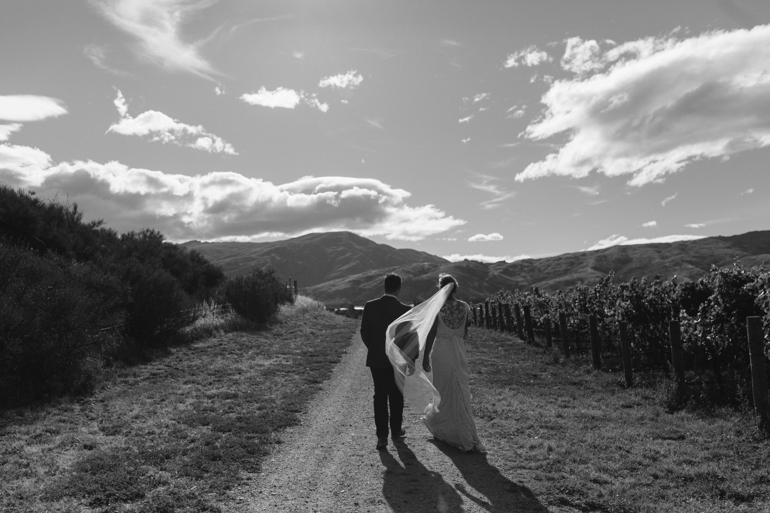Black and white photograph of a couple walking through a vineyard in Cromwell, New Zealand.
